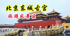 插多毛骚穴中国北京-东城古宫旅游风景区